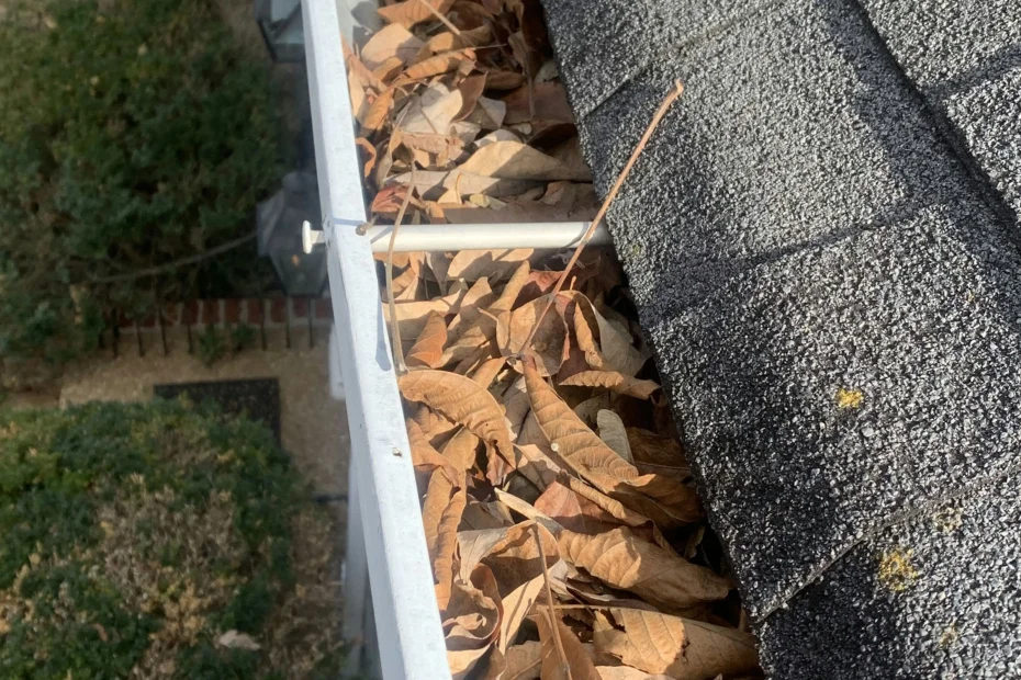 Gutter Cleaning Fletcher