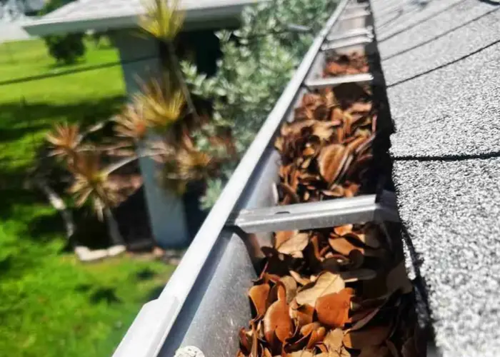 Gutter Cleaning Fletcher home page